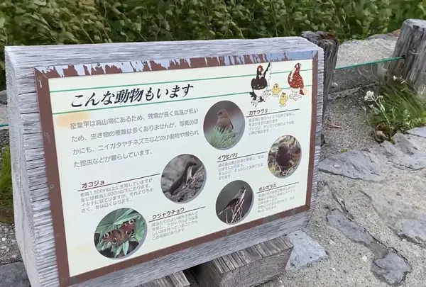 室堂平の写真・動画_image_551069