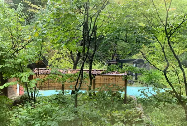 泡の湯旅館の写真・動画_image_551337