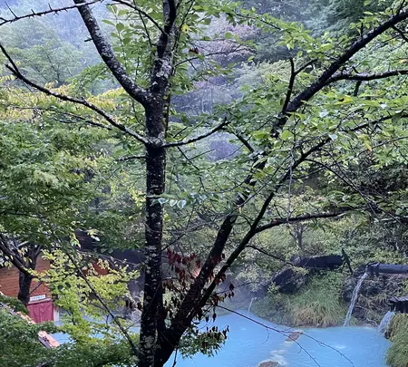 泡の湯旅館の写真・動画_image_551338