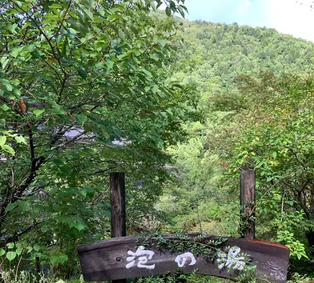 泡の湯旅館の写真・動画_image_551339