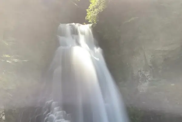 番所大滝の写真・動画_image_551347