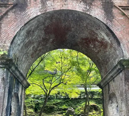 南禅寺の写真・動画_image_551971