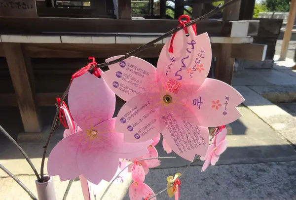 針綱神社の写真・動画_image_552083