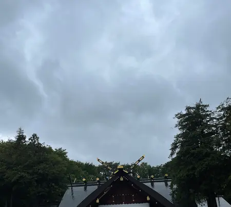 北海道神宮の写真・動画_image_552330