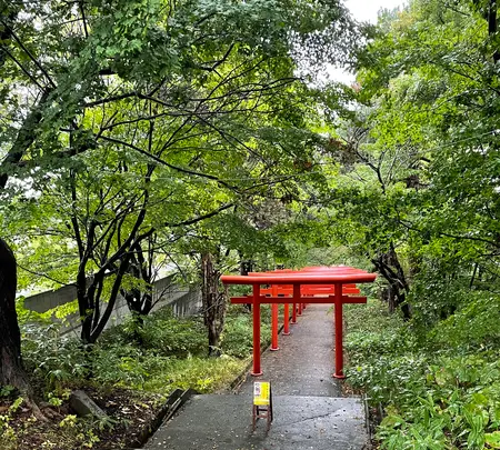 伏見稲荷神社の写真・動画_image_552343