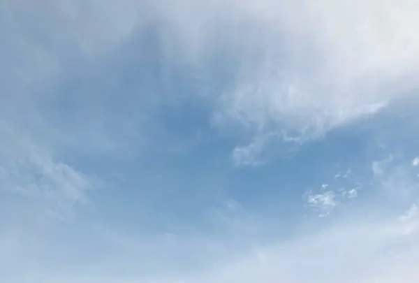 名古屋市役所の写真・動画_image_553405