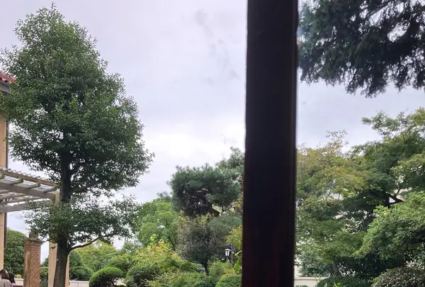  文化のみち橦木館（旧井元爲三郎邸）の写真・動画_image_553407