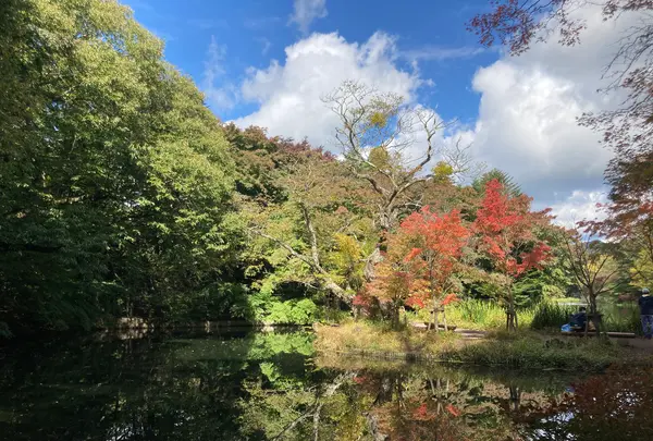 雲場池の写真・動画_image_554703