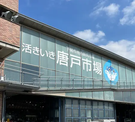 唐戸市場の写真・動画_image_555006