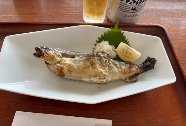 市場食堂 よしの写真・動画_image_555017