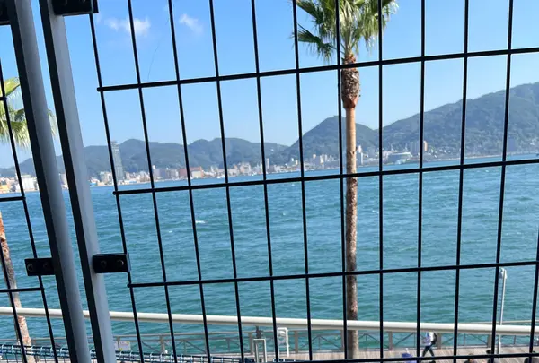 唐戸市場 ２階の写真・動画_image_555024