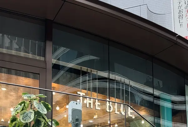 THE BLUE（ザブルー）の写真・動画_image_555041