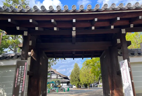 東福寺の写真・動画_image_555160