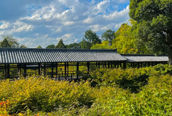 東福寺の写真・動画_image_555161