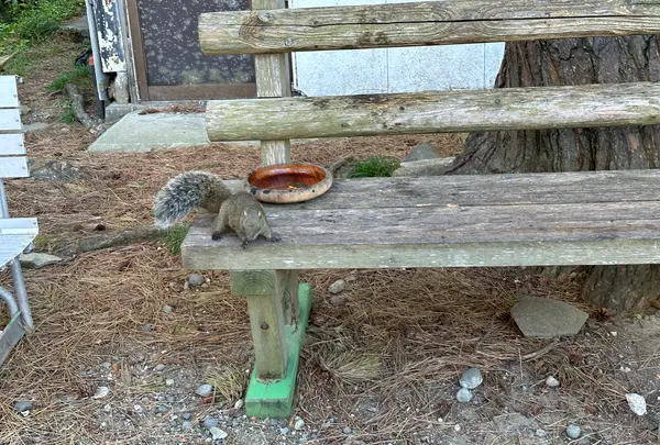 友ヶ島 野奈浦広場の写真・動画_image_555278