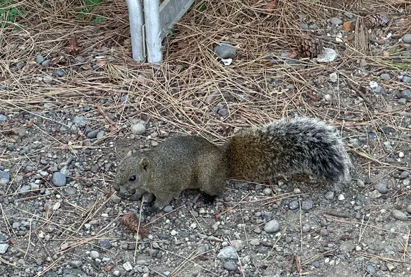友ヶ島 野奈浦広場の写真・動画_image_555279