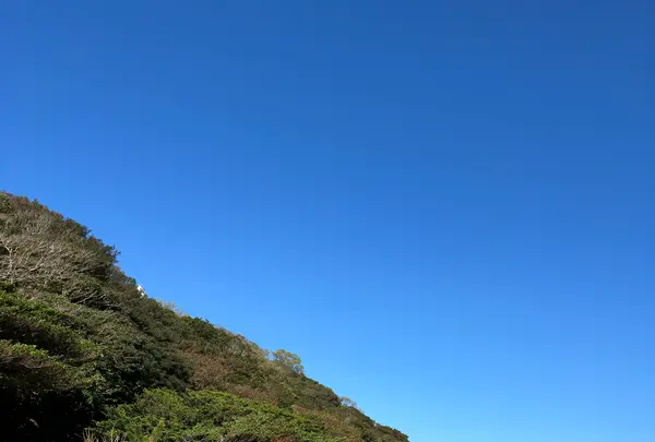 孝助松海岸の写真・動画_image_555291