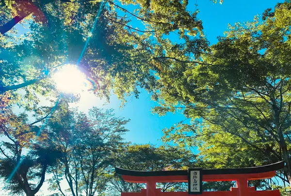 高萩八幡宮の写真・動画_image_555362
