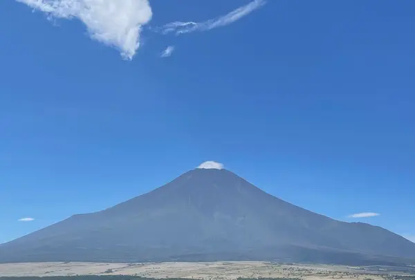 ホテルマウント富士の写真・動画_image_556546