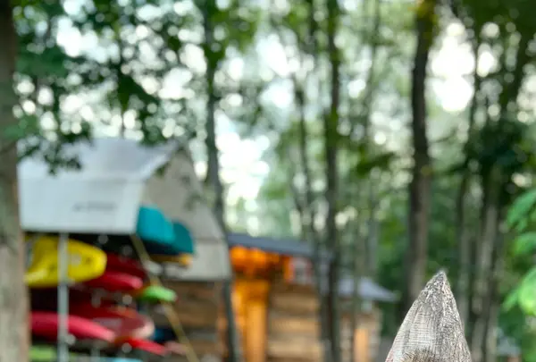 The Saunaの写真・動画_image_556555