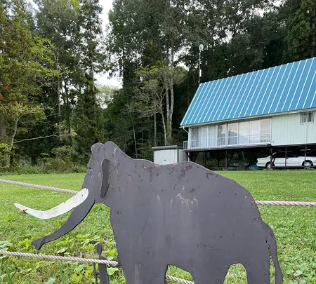 The Saunaの写真・動画_image_556564