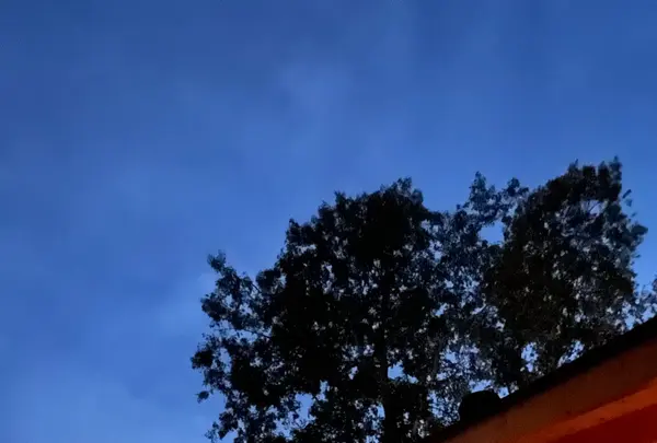 The Saunaの写真・動画_image_556573