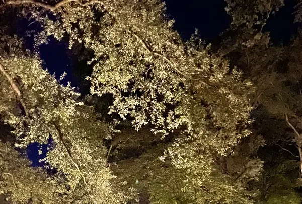 The Saunaの写真・動画_image_556584