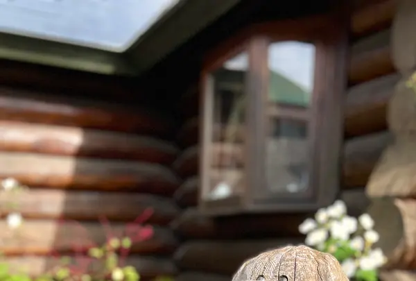 Sherokuma Sauna & Cafeの写真・動画_image_556606