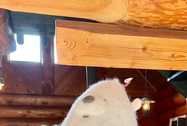 Sherokuma Sauna & Cafeの写真・動画_image_556608