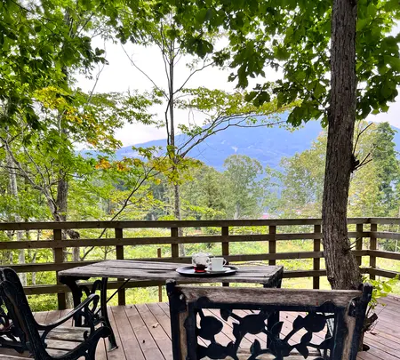 Sherokuma Sauna & Cafeの写真・動画_image_556618