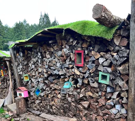 Sherokuma Sauna & Cafeの写真・動画_image_556620