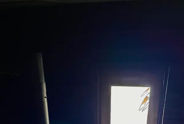 Sherokuma Sauna & Cafeの写真・動画_image_556625