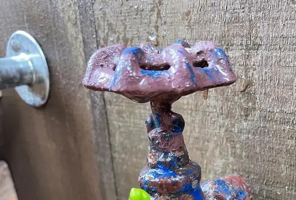 Sherokuma Sauna & Cafeの写真・動画_image_556626