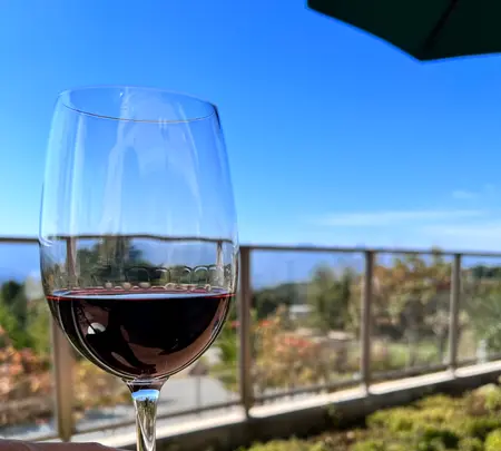 La Bottega della Pizza Napoletanaの写真・動画_image_556688