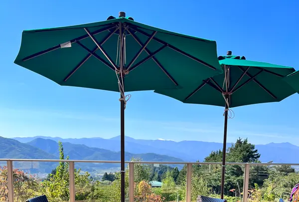 La Bottega della Pizza Napoletanaの写真・動画_image_556690