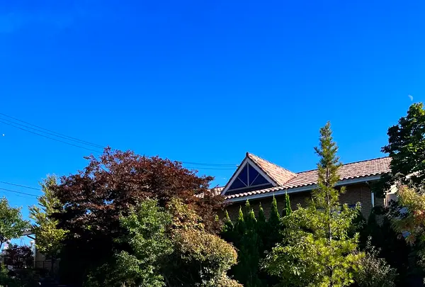 サンサンワイナリーの写真・動画_image_556691