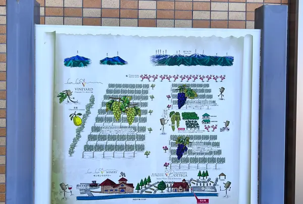 サンサンワイナリーの写真・動画_image_556693