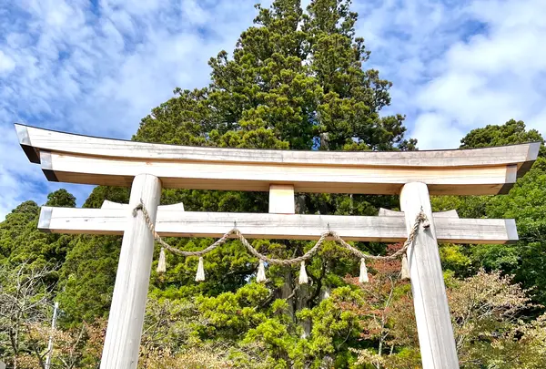 戸隠神社中社の写真・動画_image_556697
