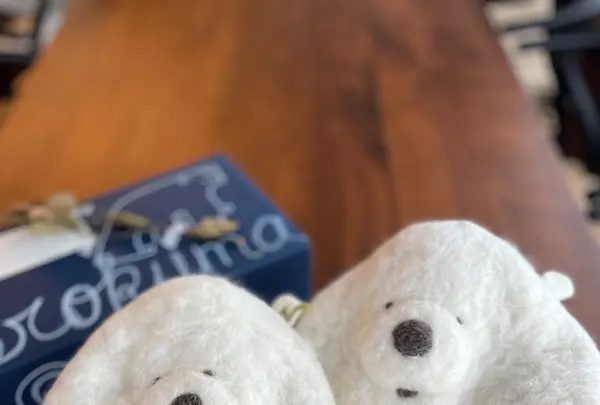 Sherokuma Sauna & Cafeの写真・動画_image_556761