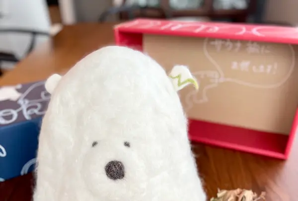 Sherokuma Sauna & Cafeの写真・動画_image_556762