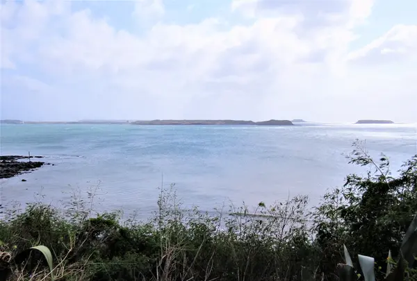 馬公金亀頭砲台文化園区の写真・動画_image_556800