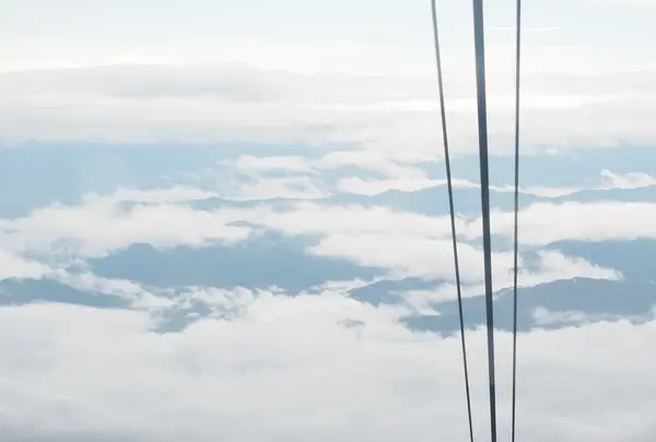 千畳敷カールの写真・動画_image_556999