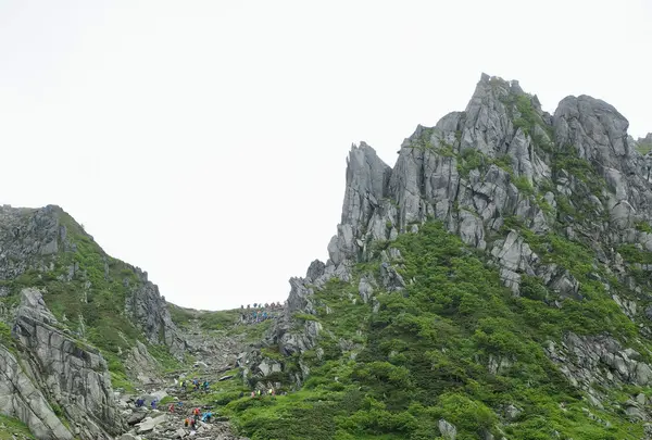 千畳敷カールの写真・動画_image_557000