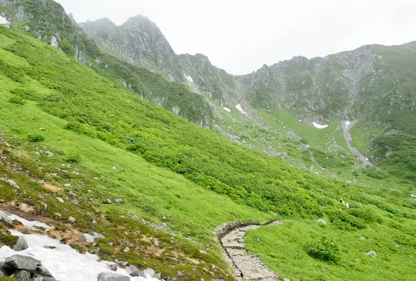 千畳敷カールの写真・動画_image_557001