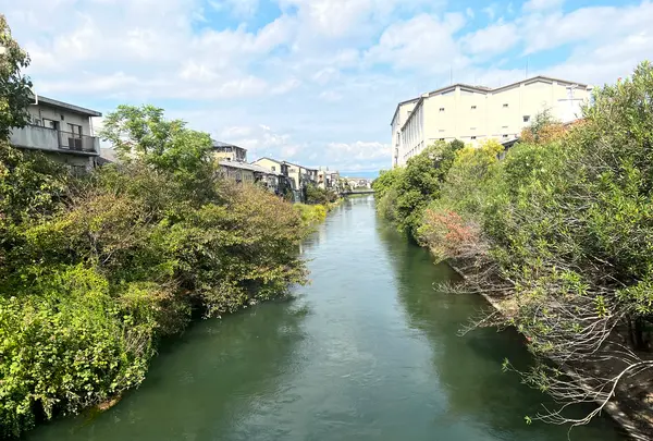 坂本龍馬避難の材木小屋跡の写真・動画_image_557028