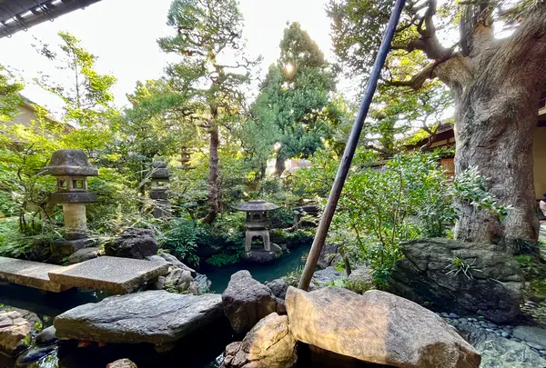 武家屋敷跡 野村家の写真・動画_image_557340