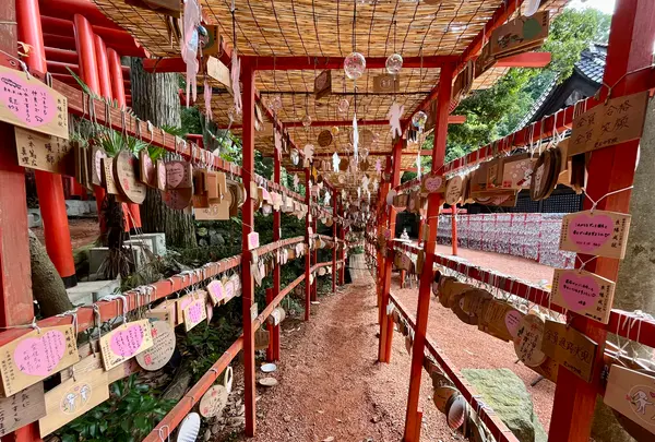 石浦神社の写真・動画_image_557399
