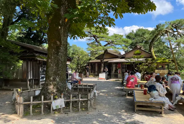 兼六園の写真・動画_image_557410