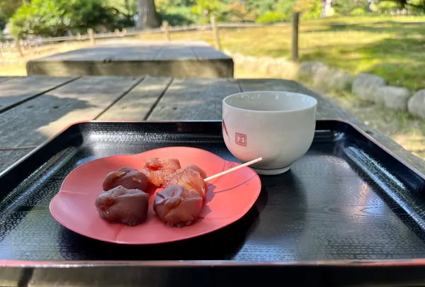 兼六園の写真・動画_image_557417