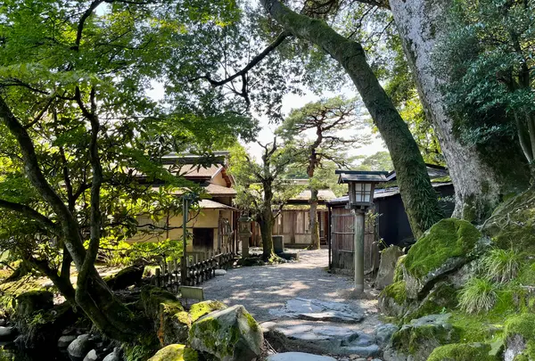 兼六園の写真・動画_image_557418